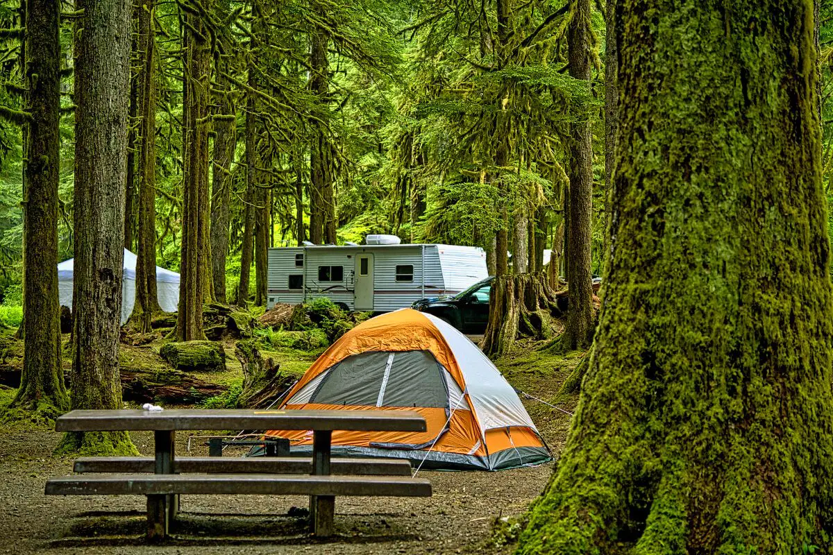 1. Smoky Mountain National Park Campgrounds - Where Are the Best Smoky Mountain National Park Campgrounds