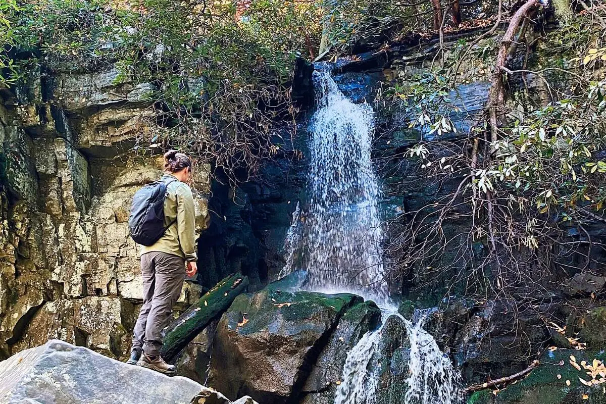 Baskin Creek Falls Trail - Great Smoky Mountains National Park Best Hikes.jfif (1)