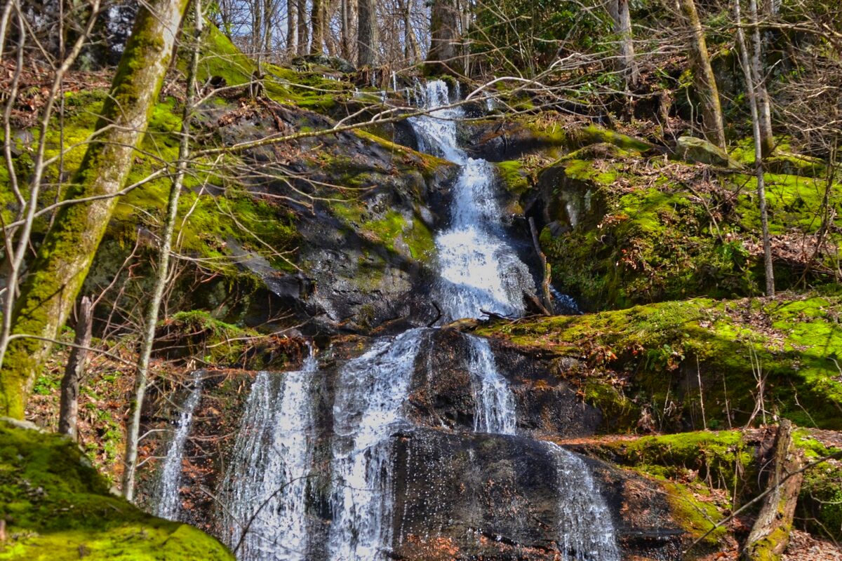 Fern Branch Waterfall - Smoky Mountain National Park waterfalls