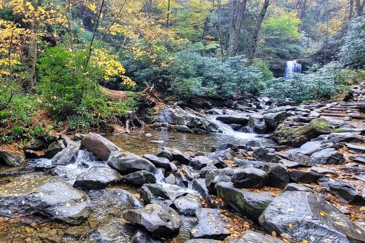 Brushy Mountain Trail - Best Trails in Smoky Mountains National Park.jfif (1)