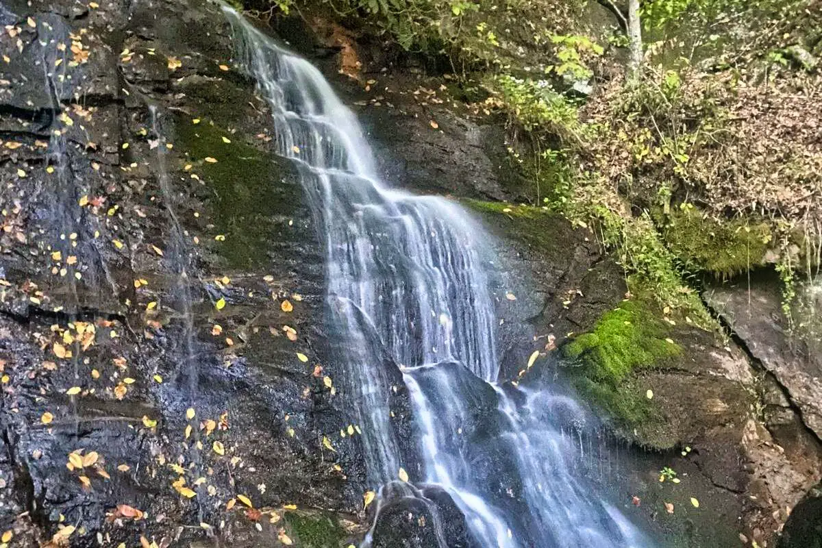 Juney Whank Falls Trail - Best Hikes In Smoky Mountain National Park.jfif (1)