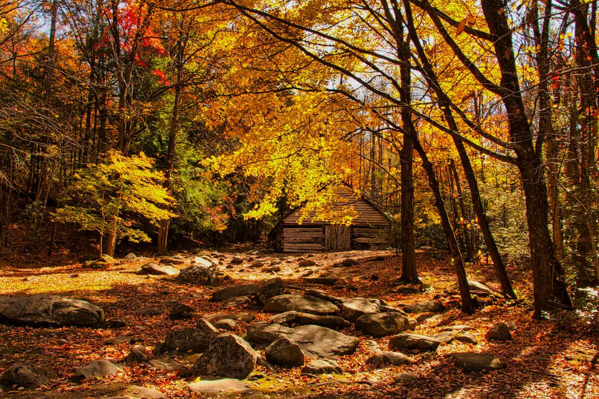 Smoky Mountain National Park Fall Foliage