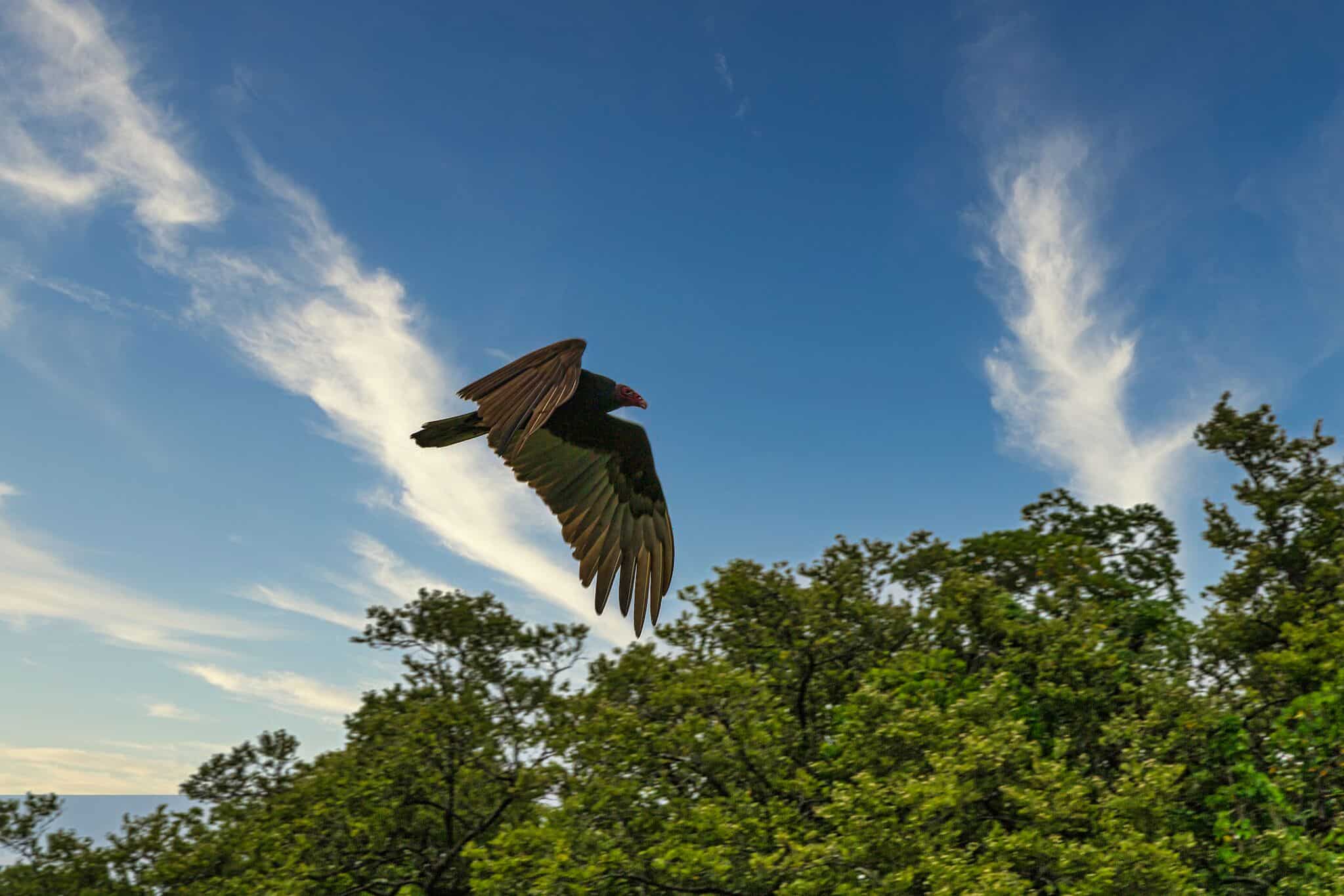 East Coast National Parks - Everglades National Park