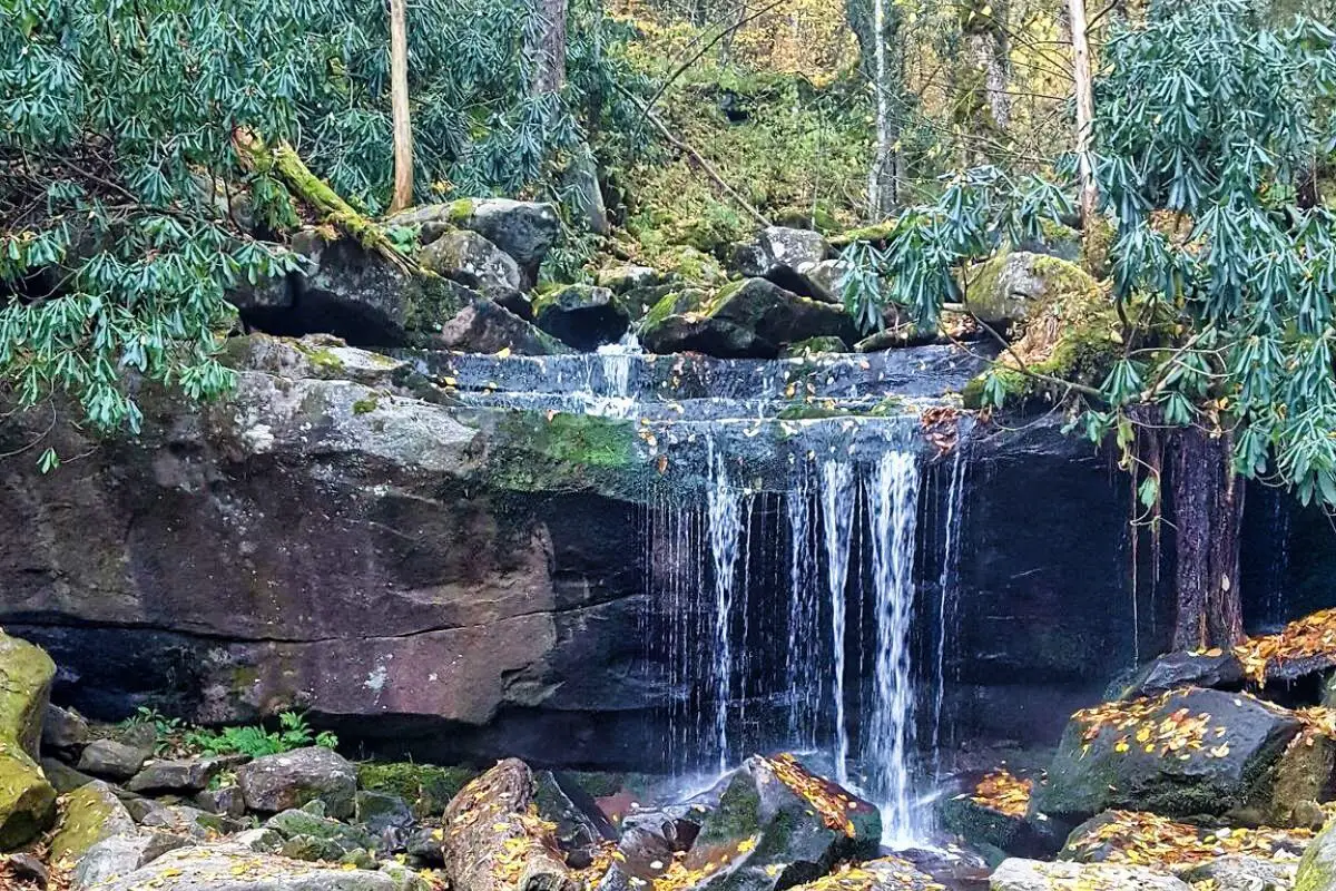 Rainbow Falls Trail - Great Smoky Mountains National Park Best Hikes.jfif (1)