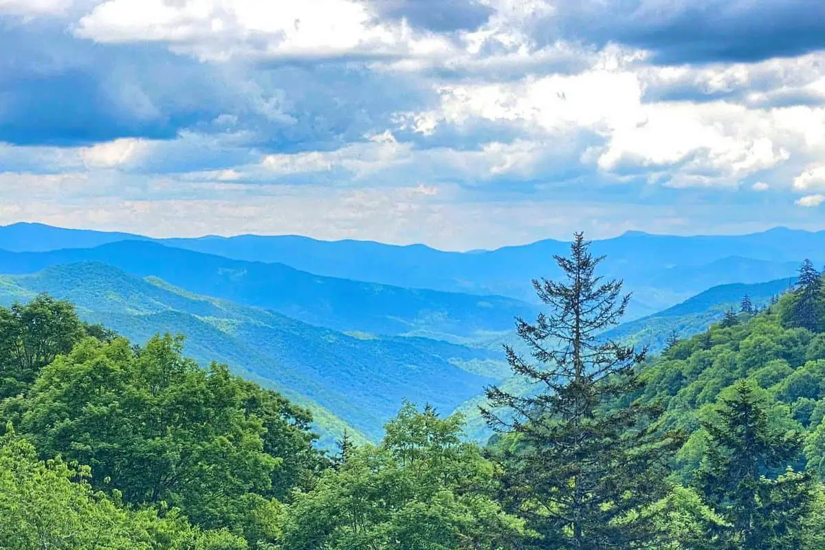 Great Smoky Mountain National Park photographs - 14. Kanati Fork Trail (1)