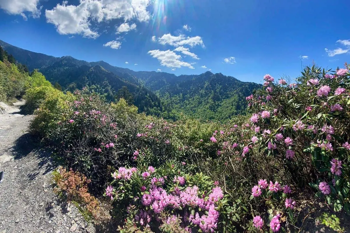 Great Smoky Mountains National Park Photos - 3. Mount Le Conte (1)