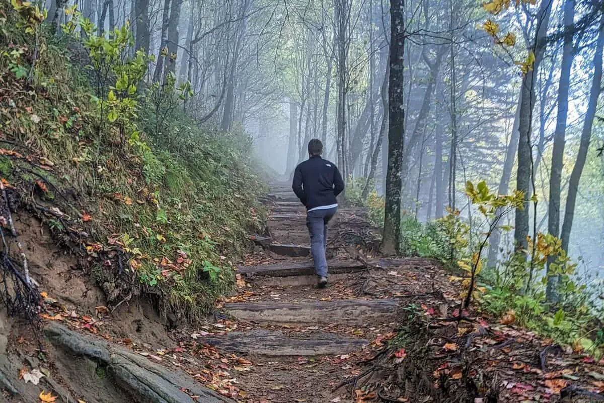 Great Smoky Mountains National Park Photos - 4. Newfound Gap (1)