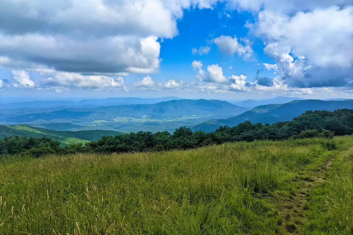 Great Smoky Mountains photography - 10. Gregory Bald (1)