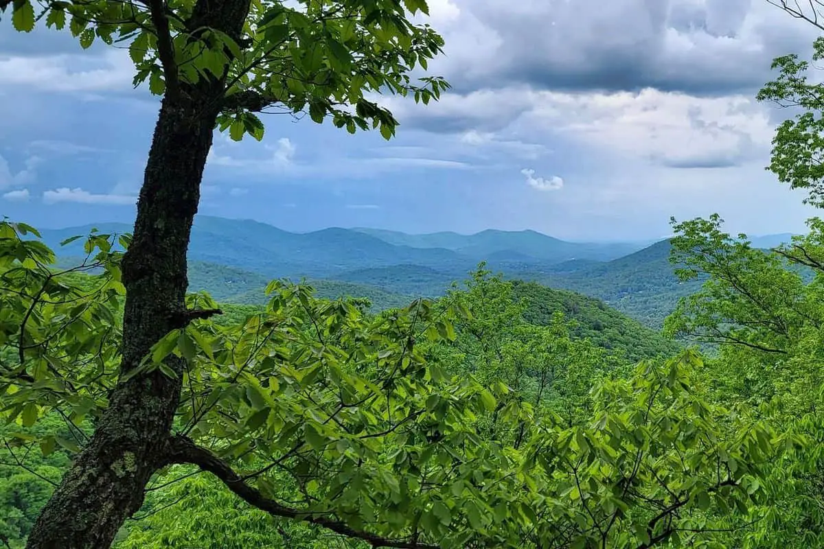 Great Smoky Mountains photography - 12. Rough Ridge (1)