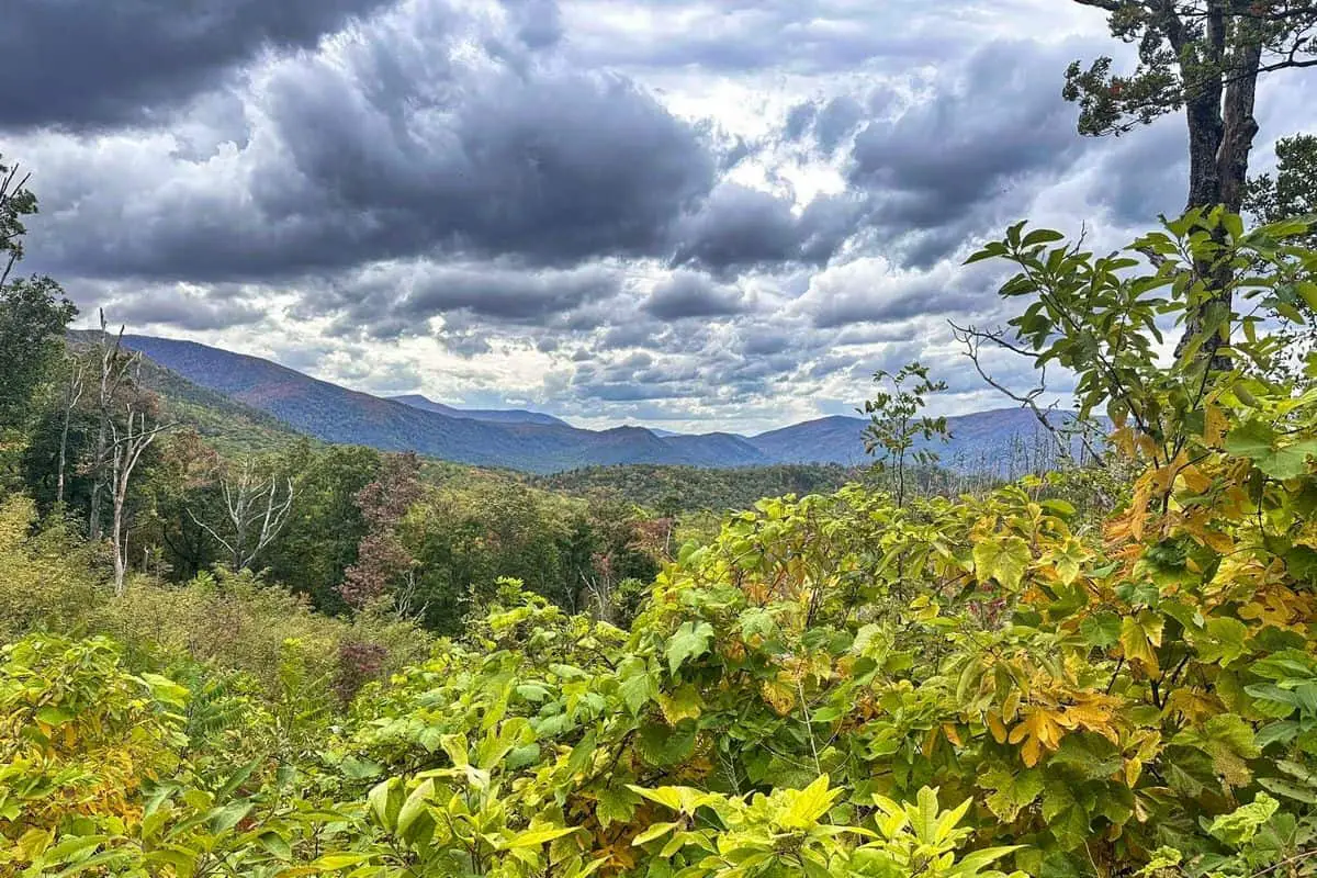 Photos of Great Smoky Mountain National Park - 7. Roaring Fork Motor Nature Trail (1)