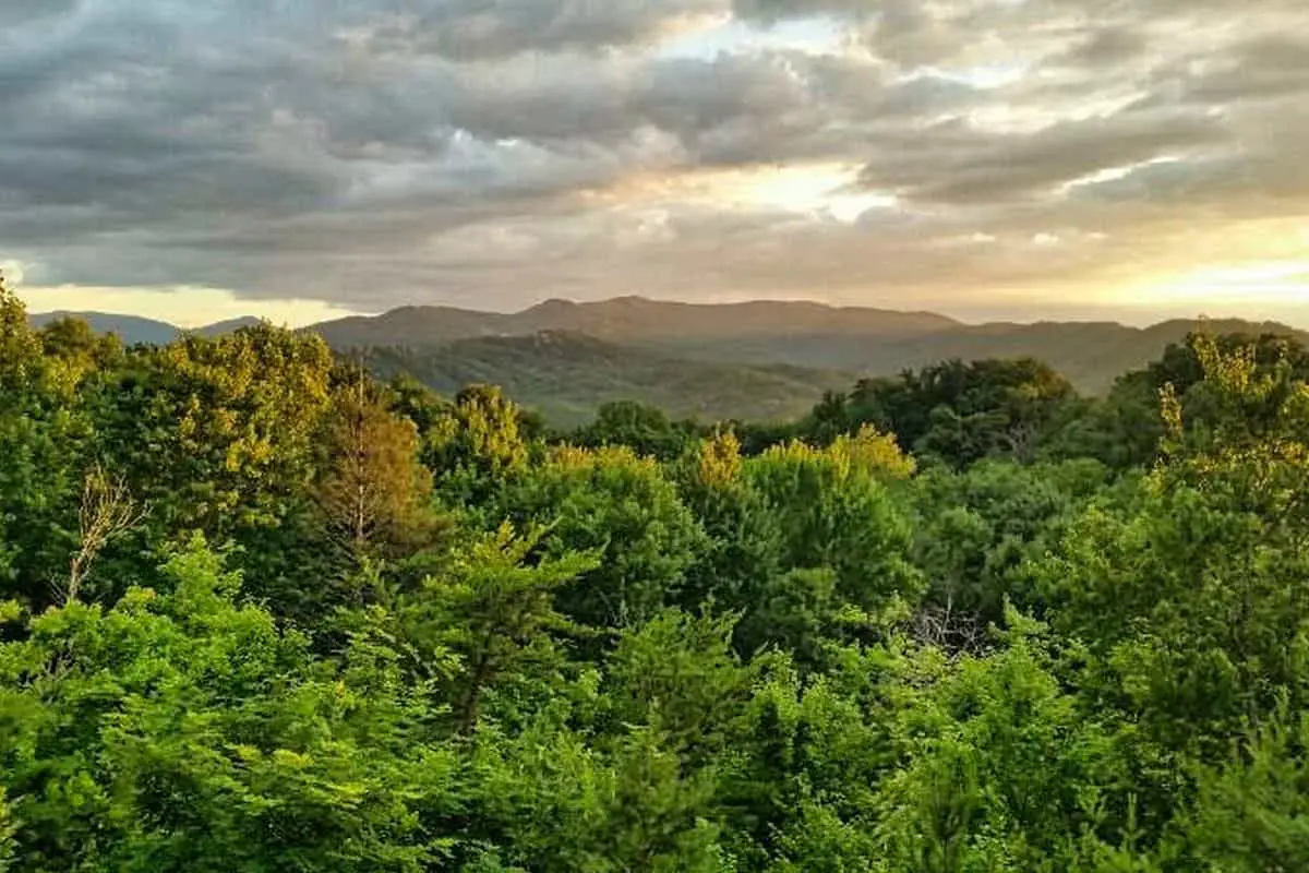 Smoky Mtn Landscape