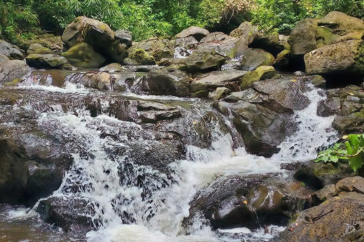 Judd Trail & Jackass Ginger Pool Near Honolulu