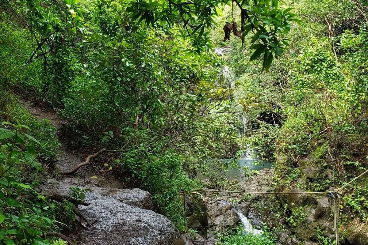 Hike to Waimano Falls via Waimano Falls Trail