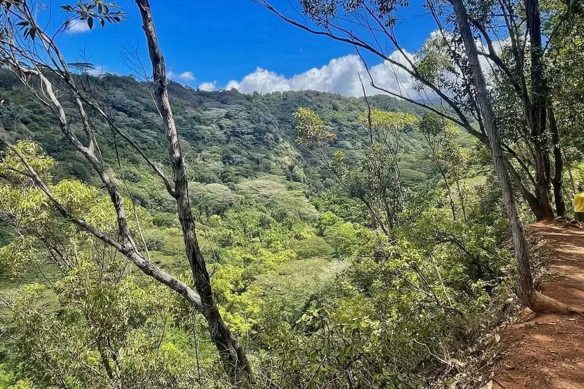 Hike to Waimano Falls via Waimano Falls Trail