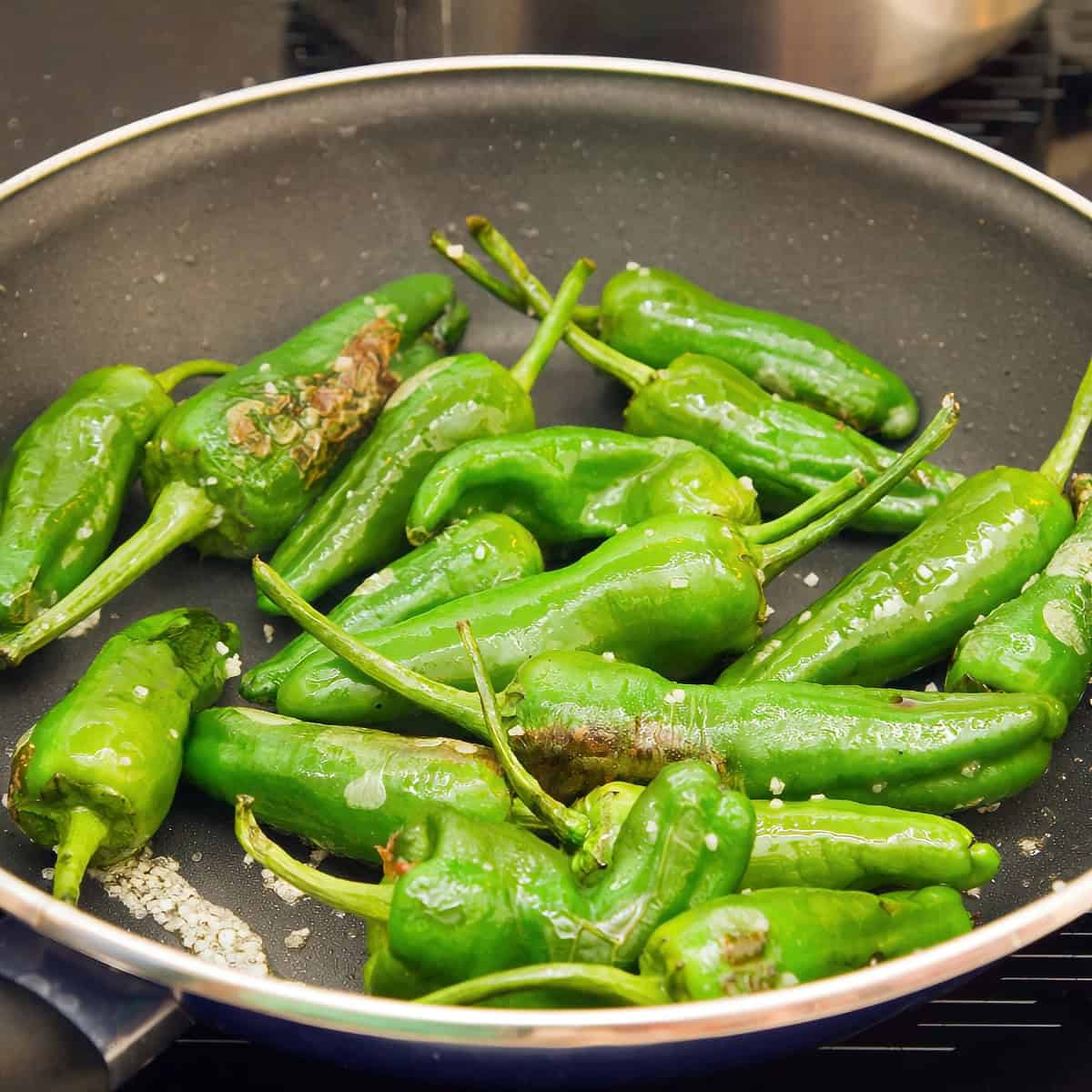 22. Pimientos de Padron