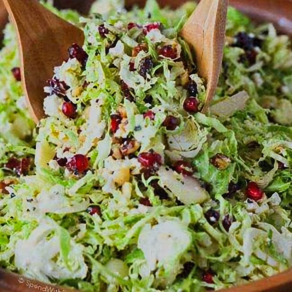 8. Brussels Sprout Salad - easy brussel sprouts recipes