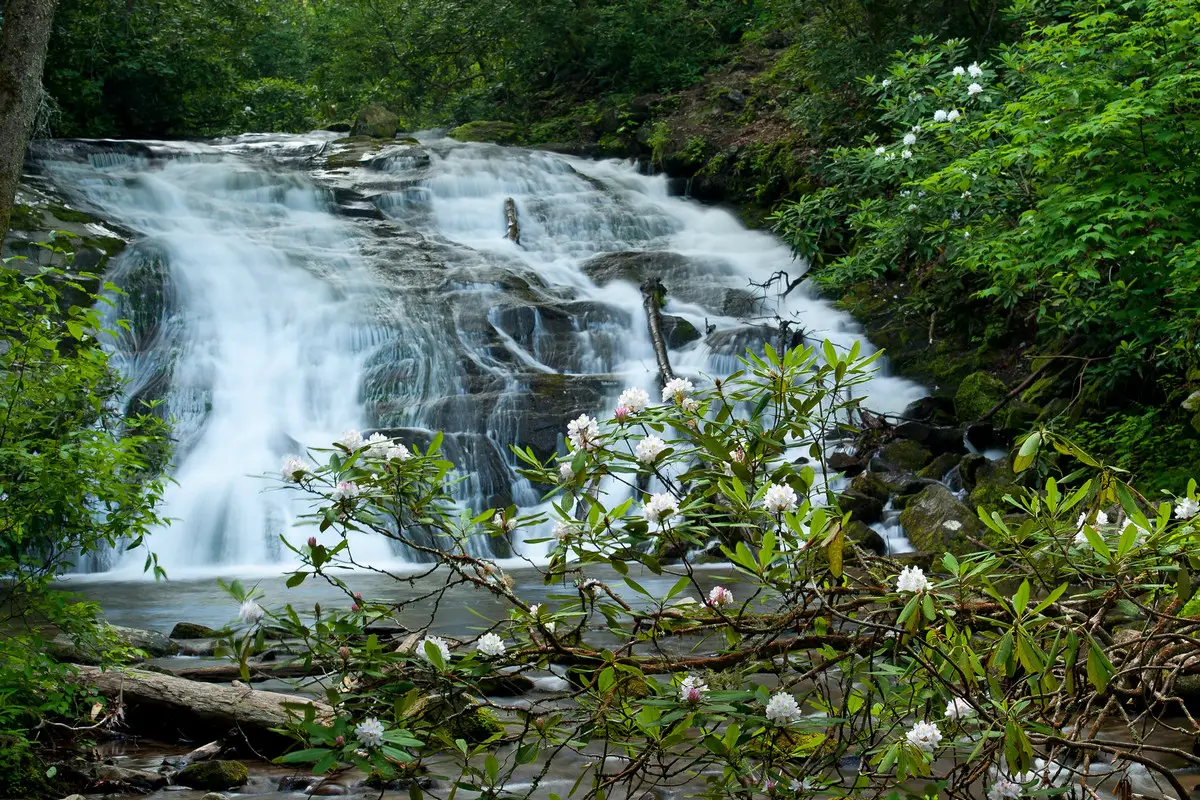 Deep Creek Trail Trailhead Indian Creek Falls by Timothy Wildey