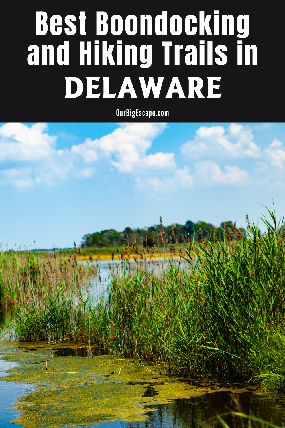 Best Boondocking and Hiking Trails in Delaware