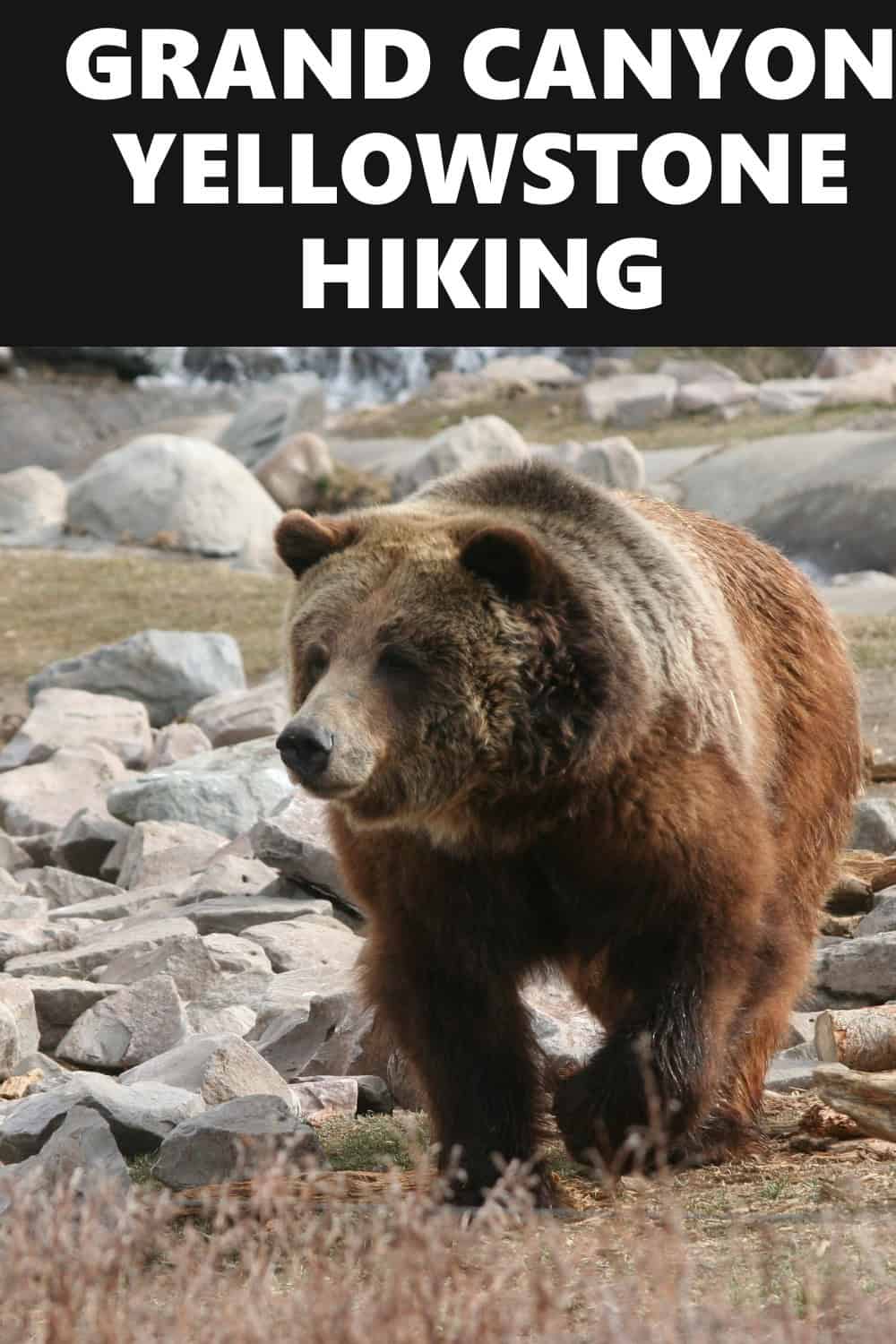 Grand Canyon Yellowstone Hiking