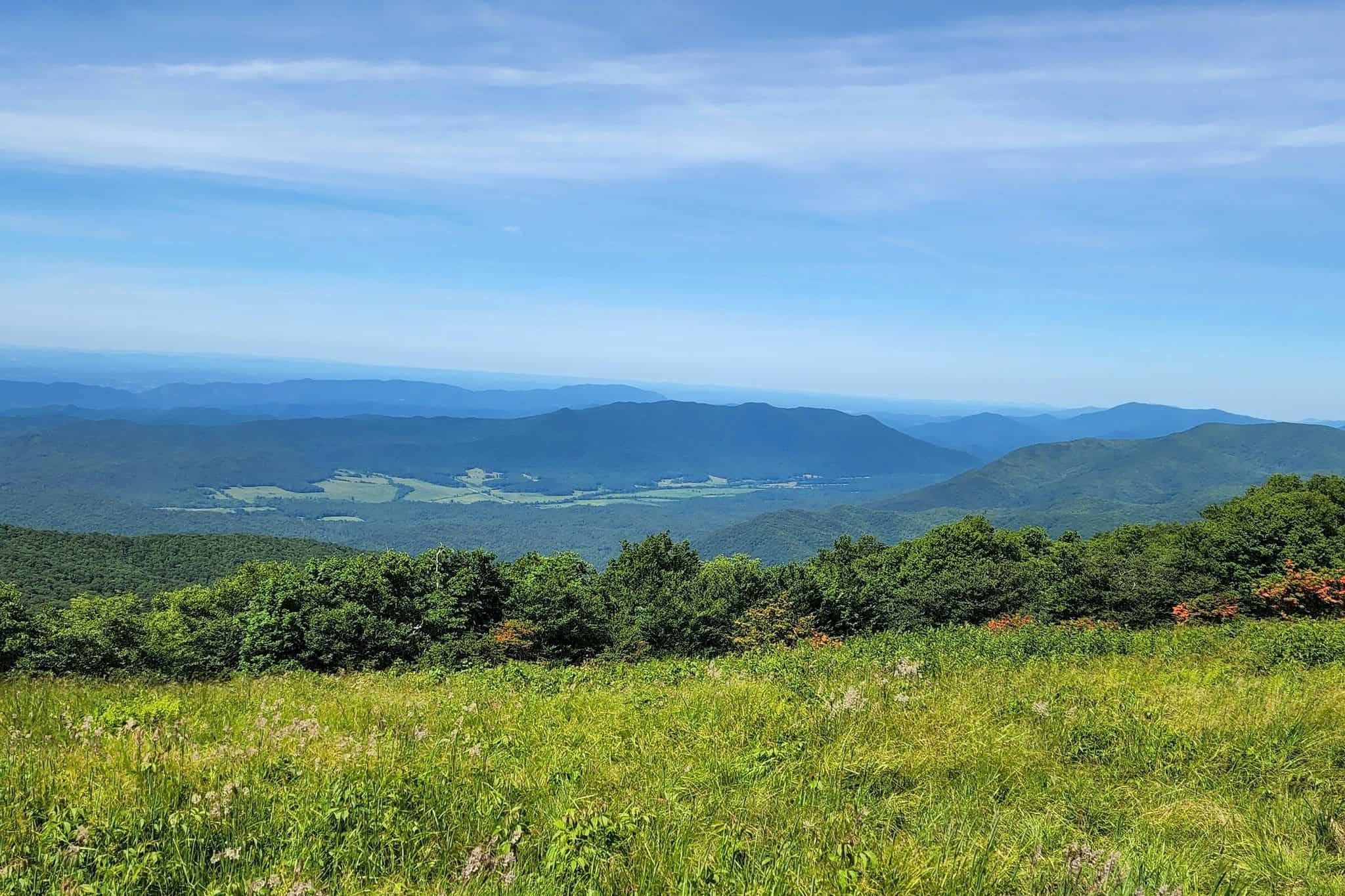 Gregory Bald Trail