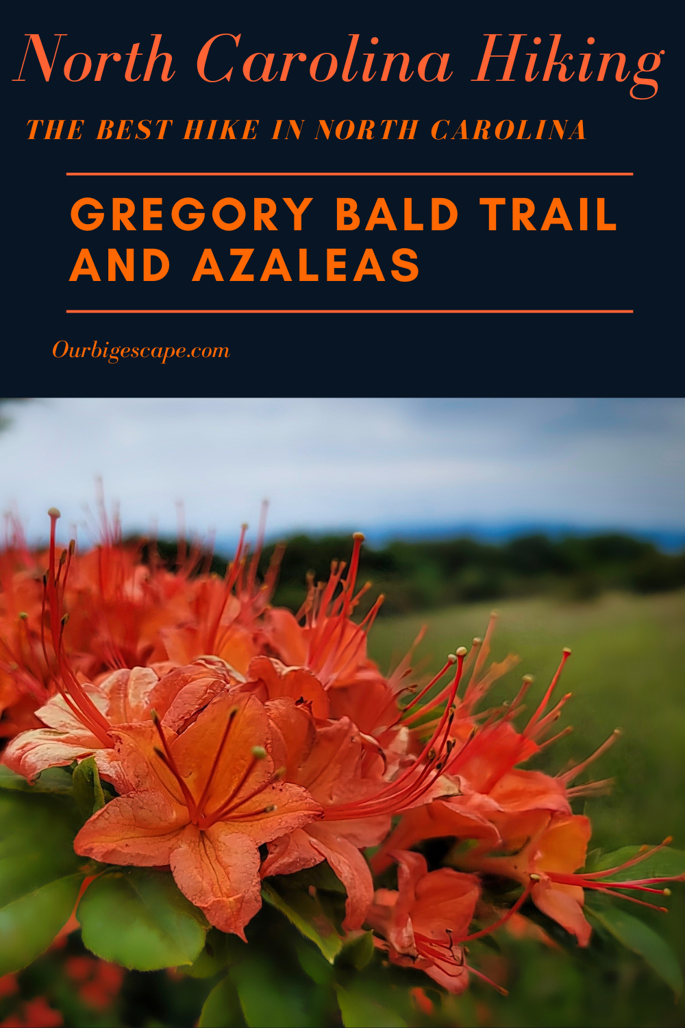 Gregory Bald Trail