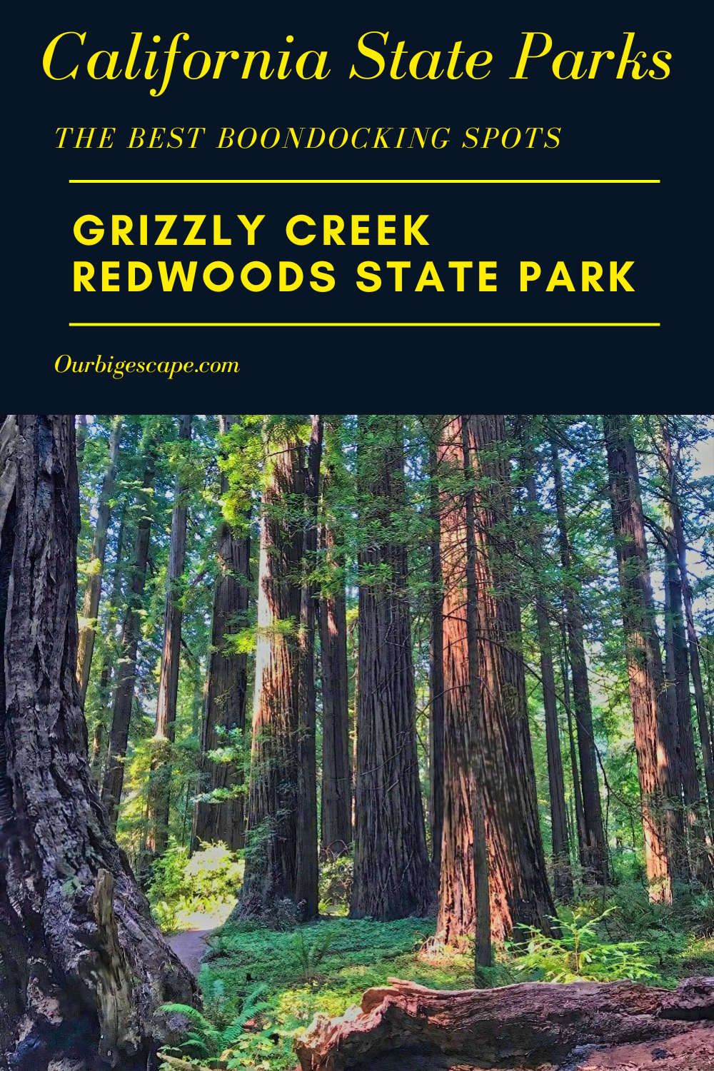 Grizzly Creek Redwoods State Park Pin