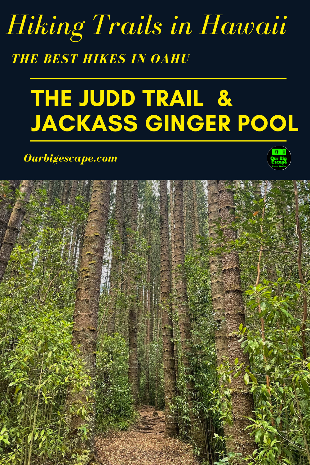 Hiking Trails in Hawaii - The Judd Trail & Jackass Ginger Pool