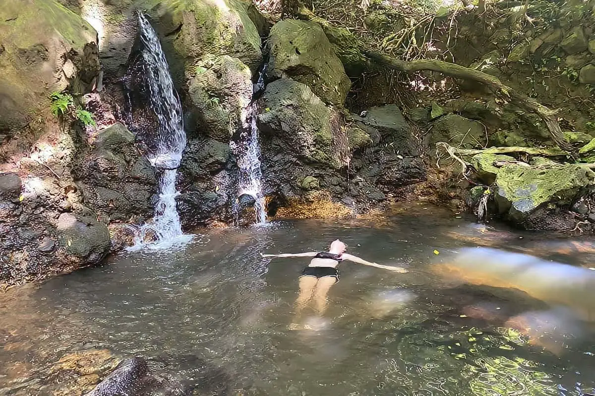 Judd Trail & Jackass Ginger Pool Near Honolulu