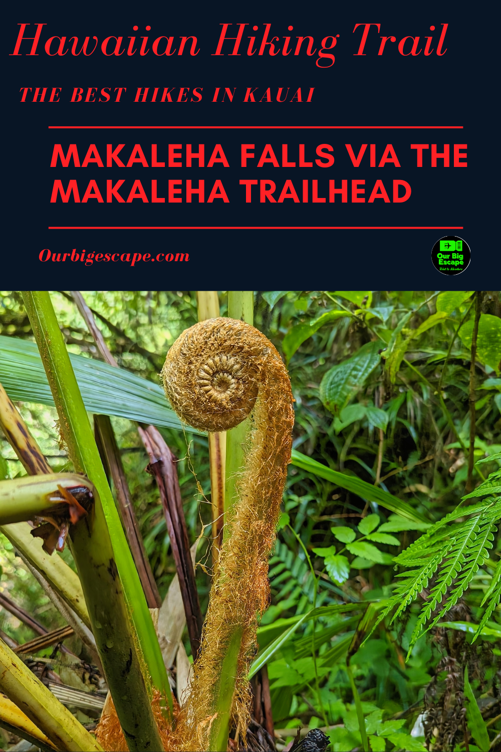 Best hiking trail in Hawaii, try Makaleha Falls via Makaleha Trailhead