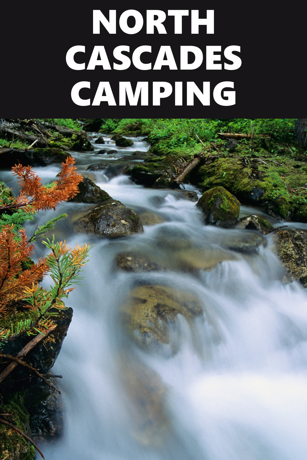 North Cascades Camping