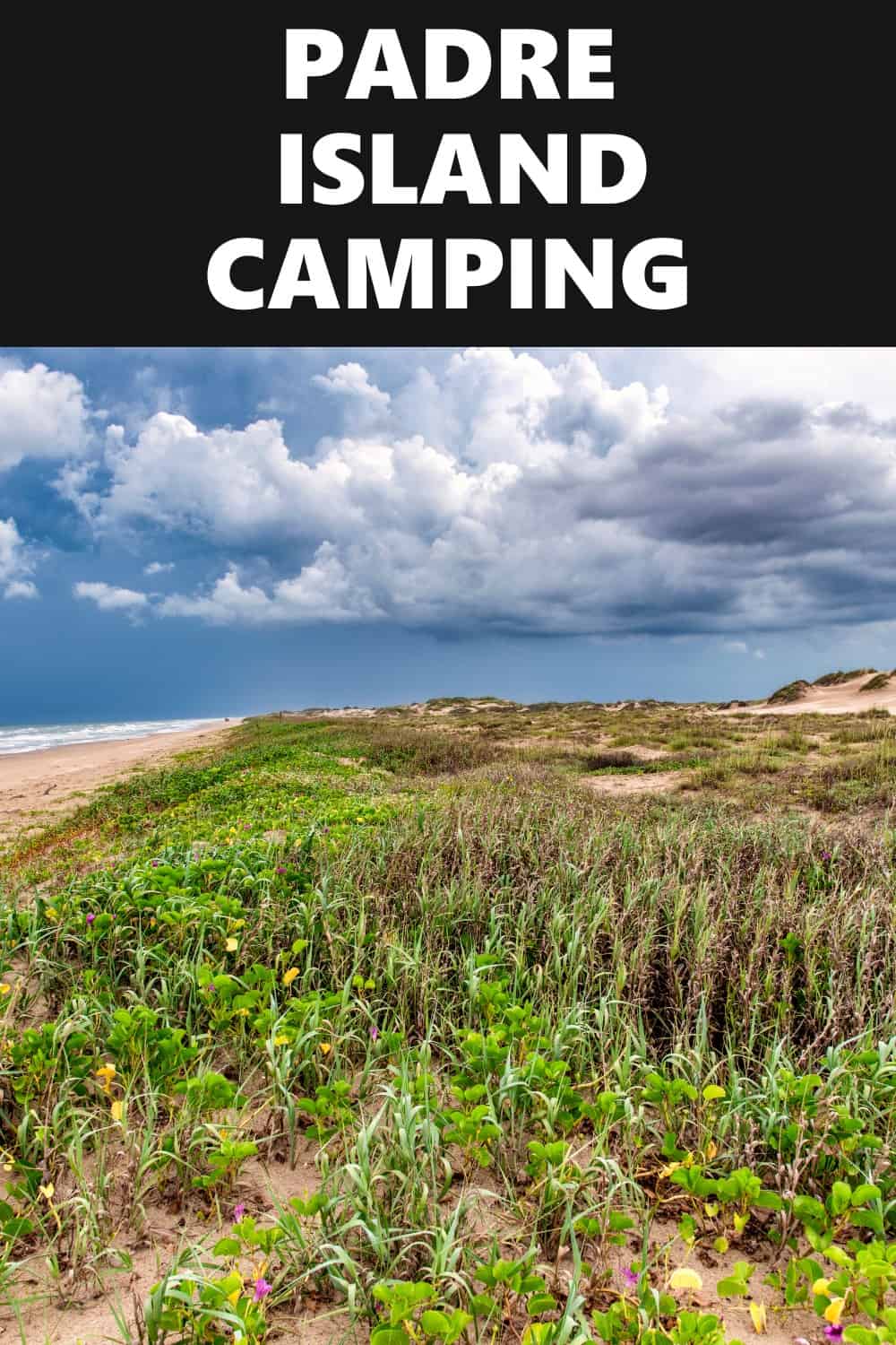 Padre Island Camping