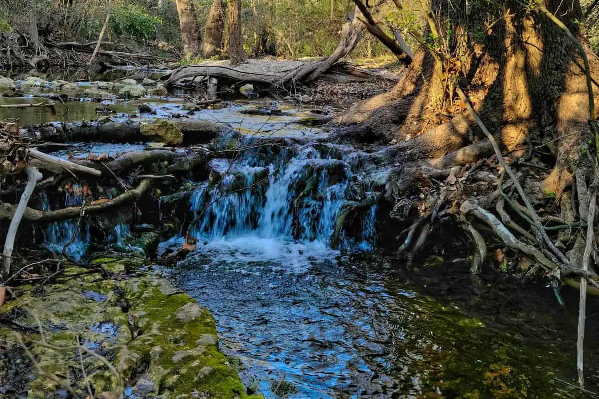 Spicewood Valley Trail