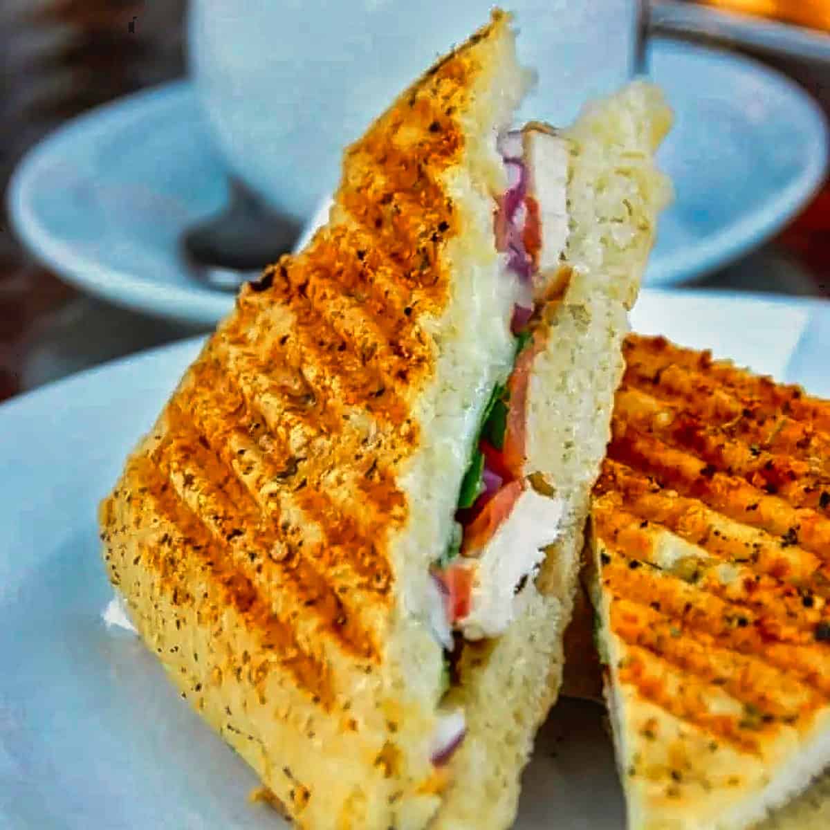 recipes with roasted garlic - 8. Italian Panini Grill Sandwich