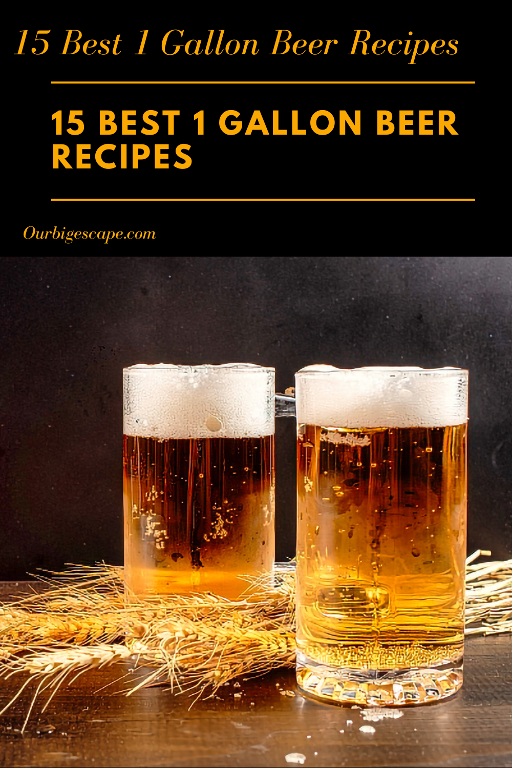 15 Best 1 Gallon Beer Recipes
