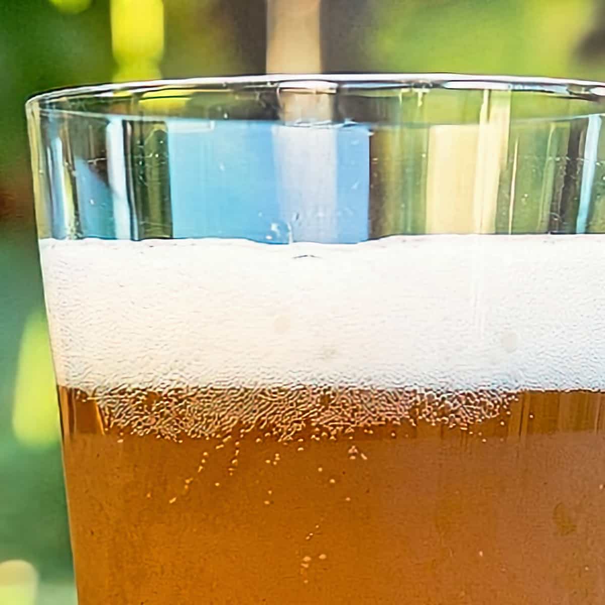 12. Gose 1 Gallon Beer Recipes