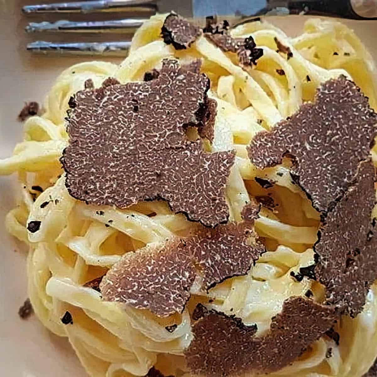 13. Tagliolini with Taleggio and Black Truffles Recipe