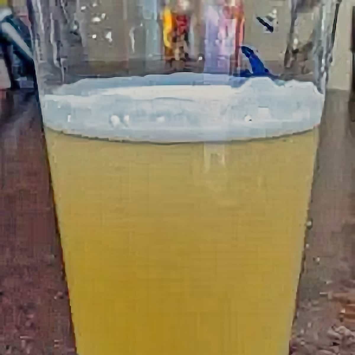 14. Berliner Weisse Beer Recipe