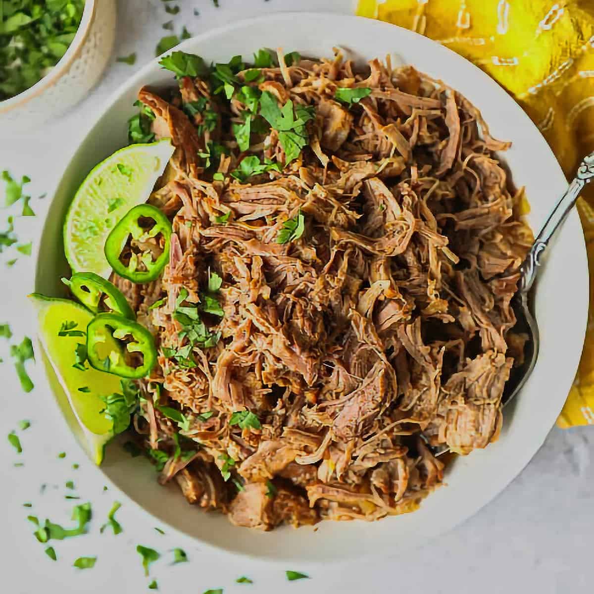 14. Instant-Pot Mojo Pork and Rice Recipe