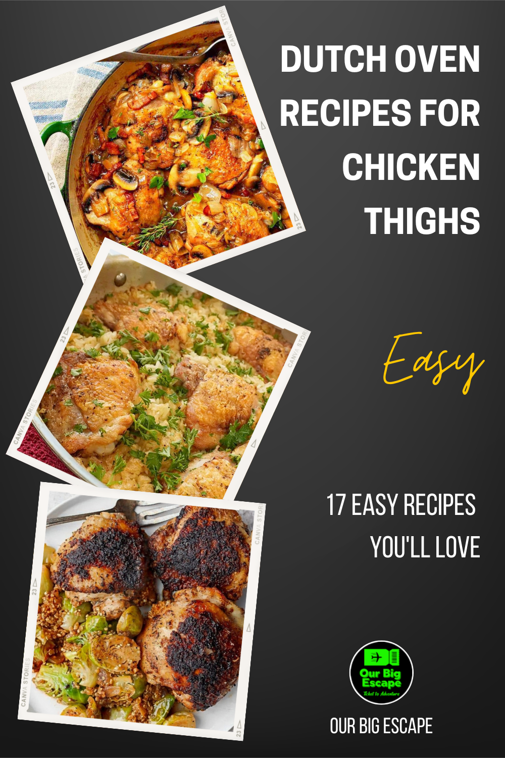 17 Easy Dutch Oven Recipes For Chicken Thighs You'll Love