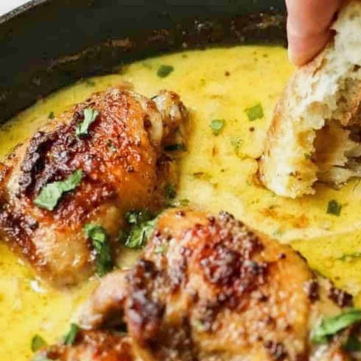 Mustard Chicken Recipe - Dutch Oven Recipes for Chicken Thighs