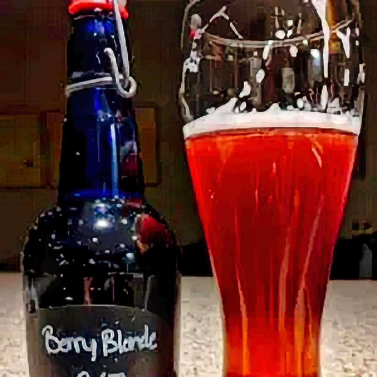 2. Berry Blonde Ale Beer Recipe - 1 gallon beer recipes