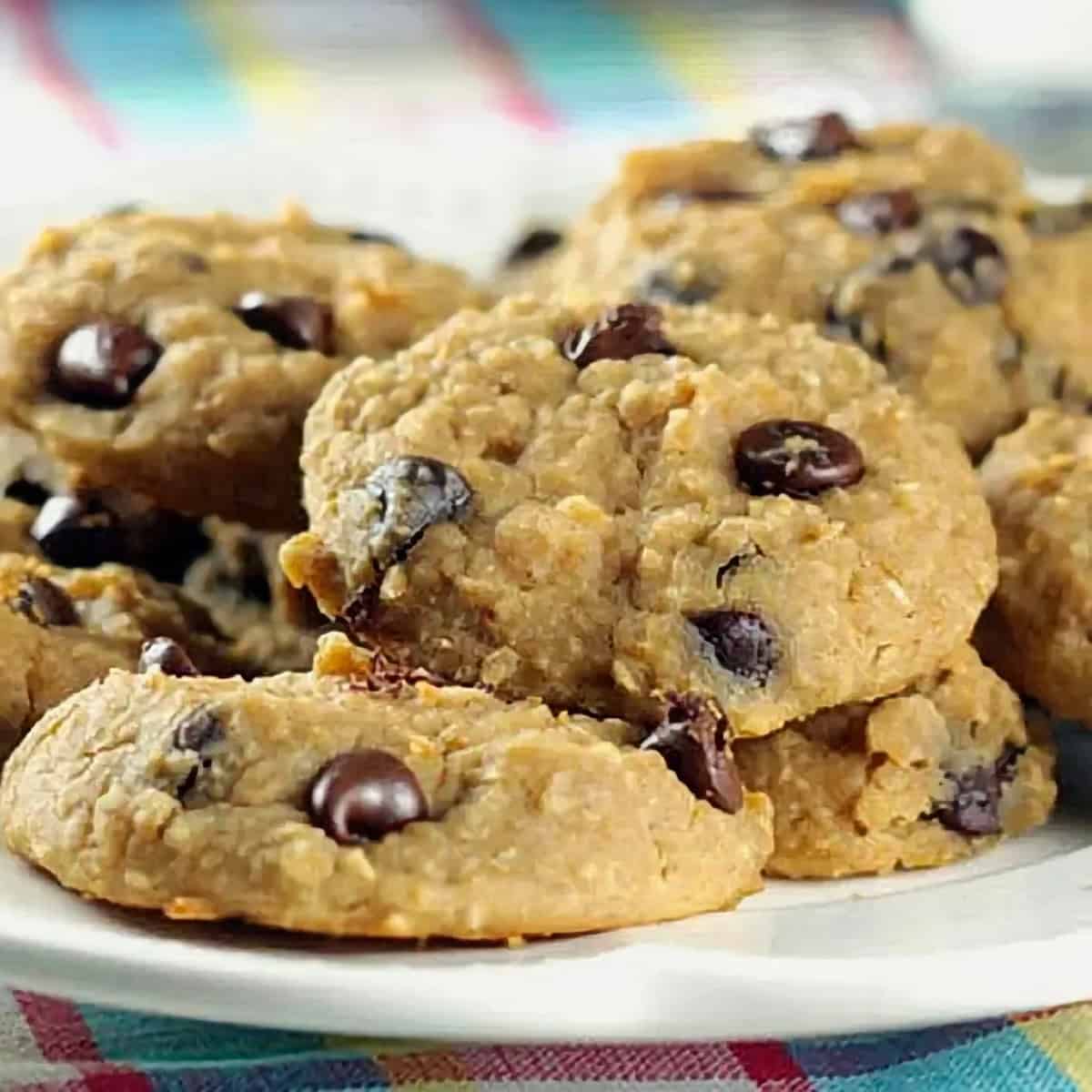 Stevia Cookie Recipes