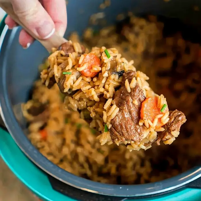 Instant Pot Beef Stew Casserole - beef stew meat recipe
