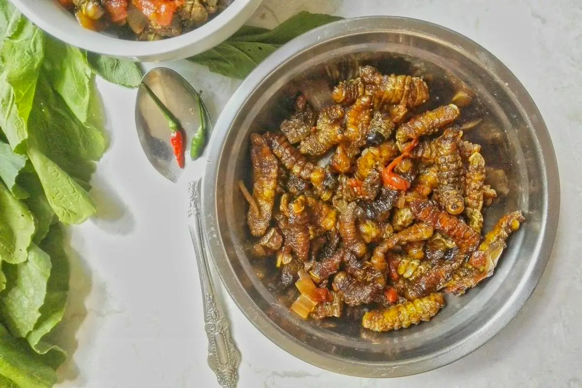 1. Ifinkubala (Mopane Worms)