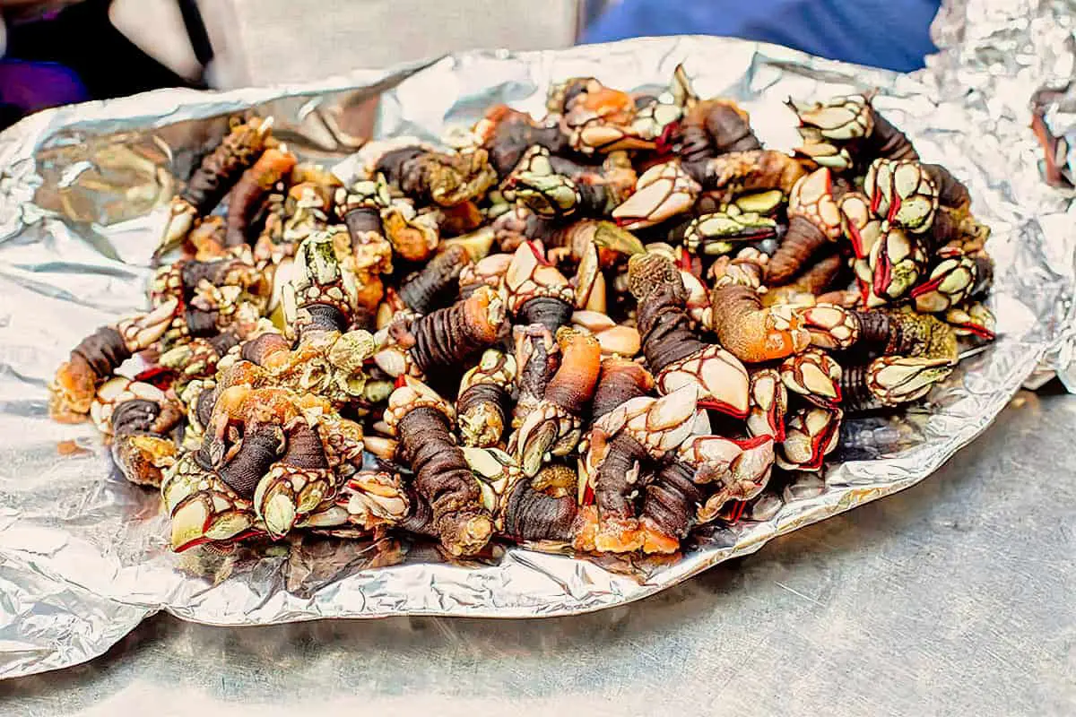 https://ourbigescape.com/wp-content/uploads/2023/01/1.-Percebes-Cabo-Verde-Food-Recipes.jpg