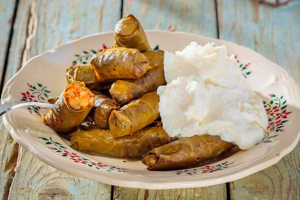 13. Sarma - Food from Kosovo