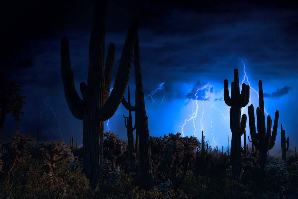 Storm In the Desert - Wet day for travel writers