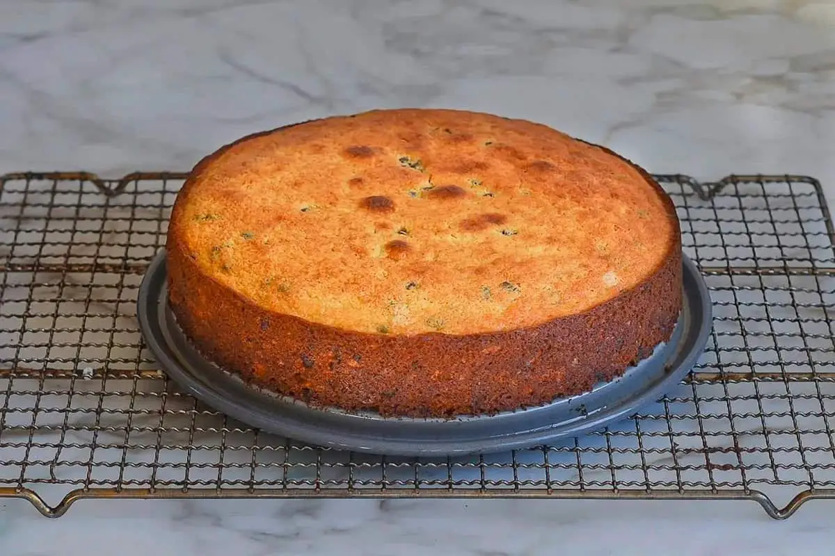 Chocolate Chip Ricotta Cake