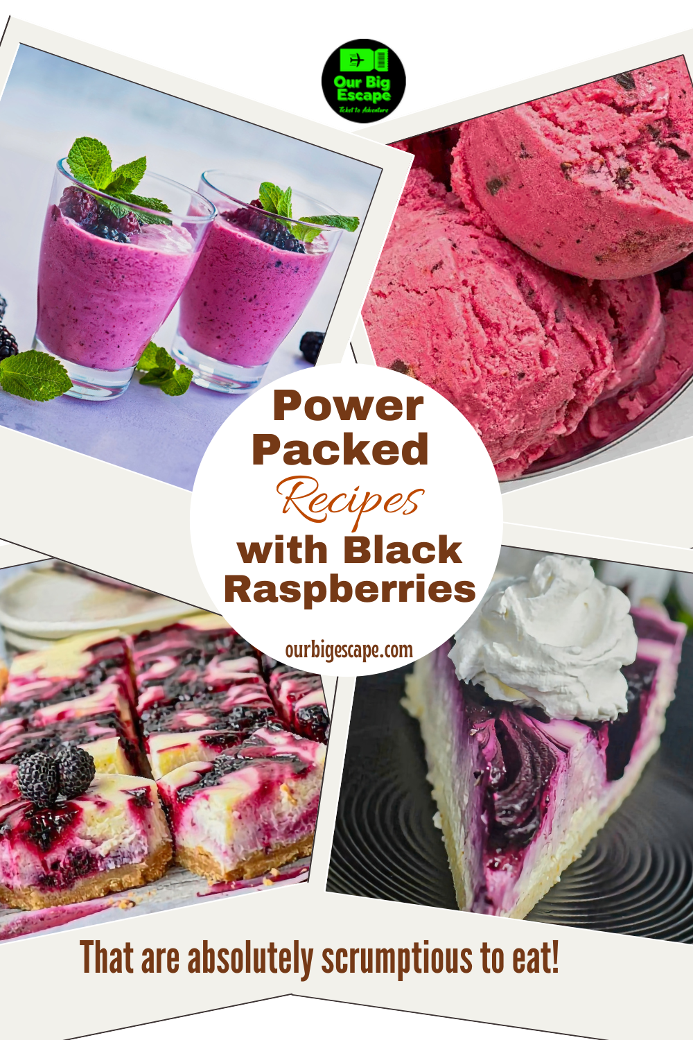Power Packed Recipes with Black Raspberries
