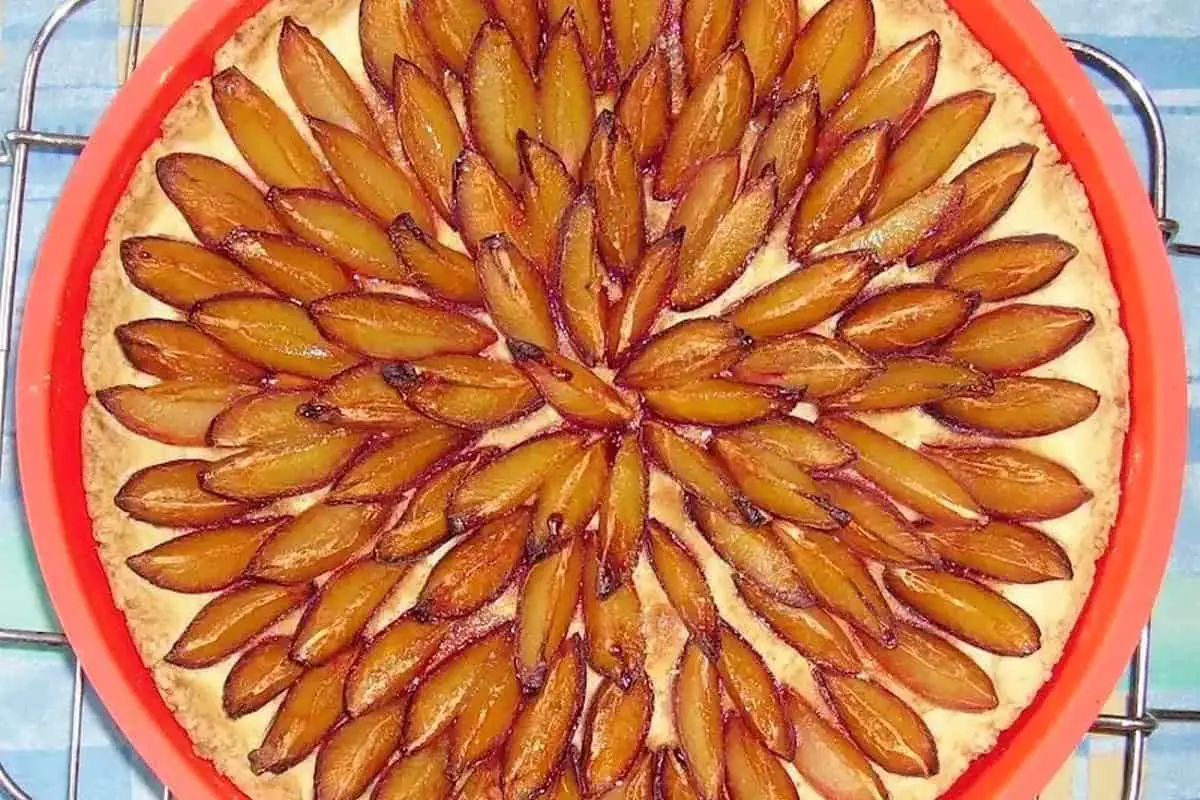 14. Quetschentaart (Plum Tart)